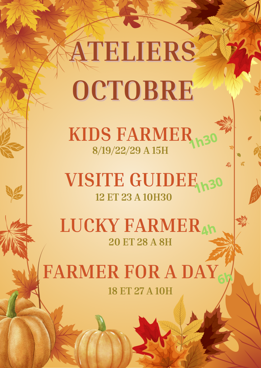 Les ateliers du mois d'Octobre !